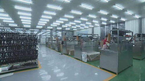 成武民營企業(yè) 揚(yáng)帆出海，暢銷海內(nèi)外市場